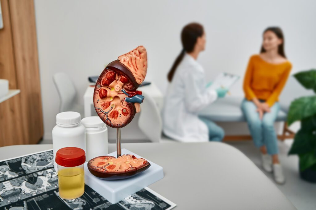Cenário de um consultório de nefrologia com um modelo de rim e um pote de exame de urina em primeiro plano, simbolizando o processo de diagnóstico para doenças renais.